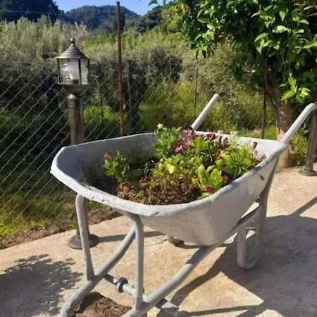 Olivetree Private *