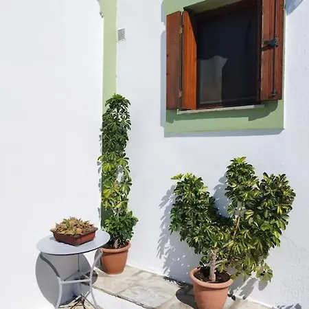 Villa Olivetree Private