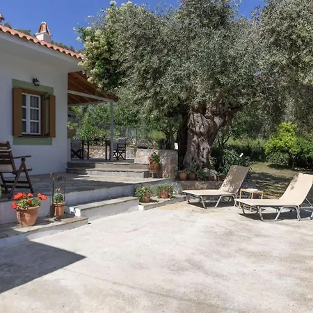 Olivetree Private Skopelos Town