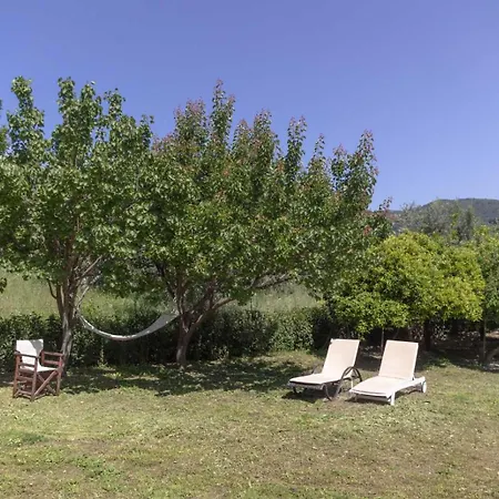 Olivetree Private *