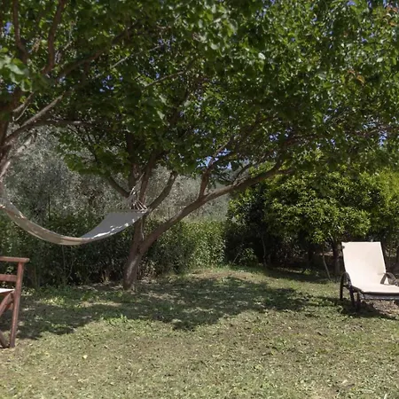 Olivetree Private Skopelos